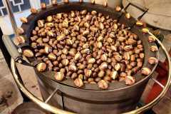 Graz-Kresimir-Golubic-9