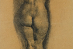 Milejnko-Stancic_StudijaAkta_1950_uglj_60.5x42cm_1