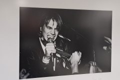 Muzej punk kulture u MSU