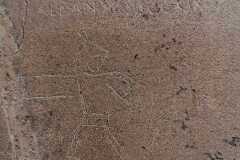 Natpisi u Pompejima,
