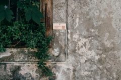 Baš je flora (Luna Džidić), Trg Sv. Marka 9