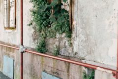 Baš je flora (Luna Džidić), Trg Sv. Marka 9