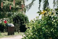 Singing Forest (Ida Blažičko & Alex Brajković), Park Bele IV