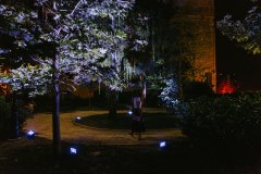 Singing Forest (Ida Blažičko & Alex Brajković), Park Bele IV
