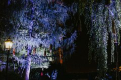 Singing Forest (Ida Blažičko & Alex Brajković), Park Bele IV