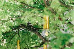 Singing Forest (Ida Blažičko & Alex Brajković), Park Bele IV