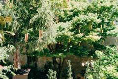 Singing Forest (Ida Blažičko & Alex Brajković), Park Bele IV