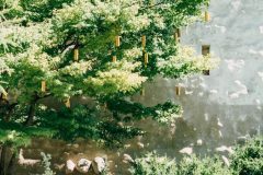 Singing Forest (Ida Blažičko & Alex Brajković), Park Bele IV
