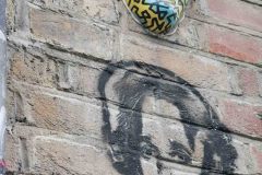 IMG_20230322_171241